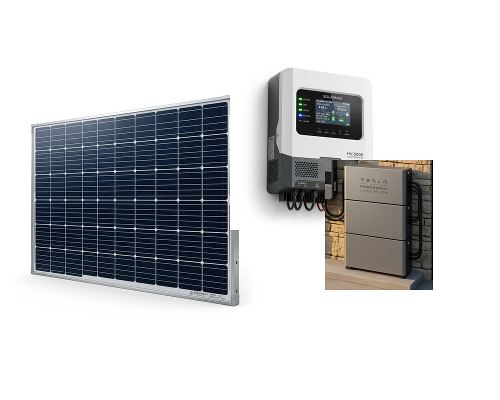 Complete Solar Solution Package Panel Inverter Battery